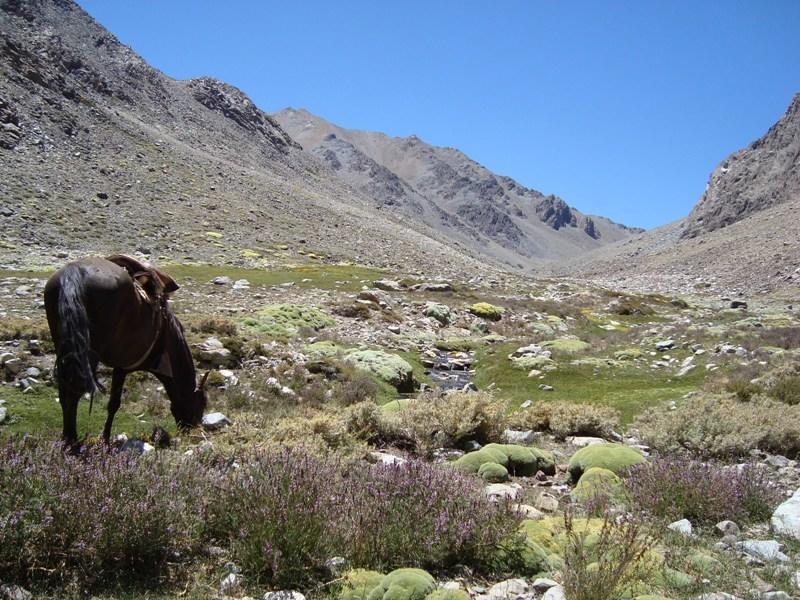 Hacienda Los Andes Βίλα Hurtado Εξωτερικό φωτογραφία