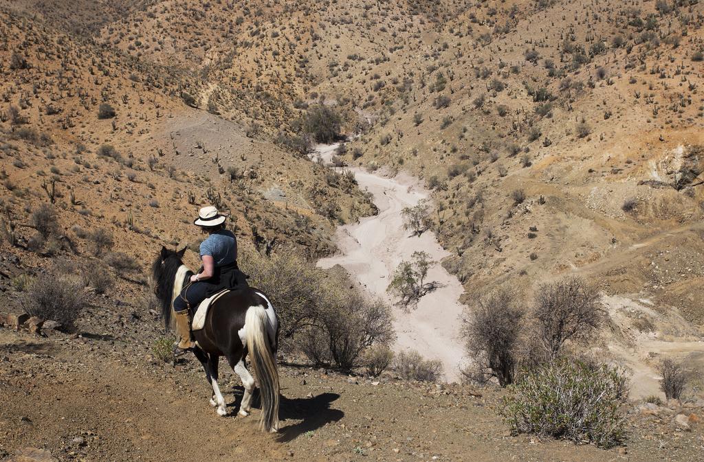 Hacienda Los Andes Βίλα Hurtado Εξωτερικό φωτογραφία