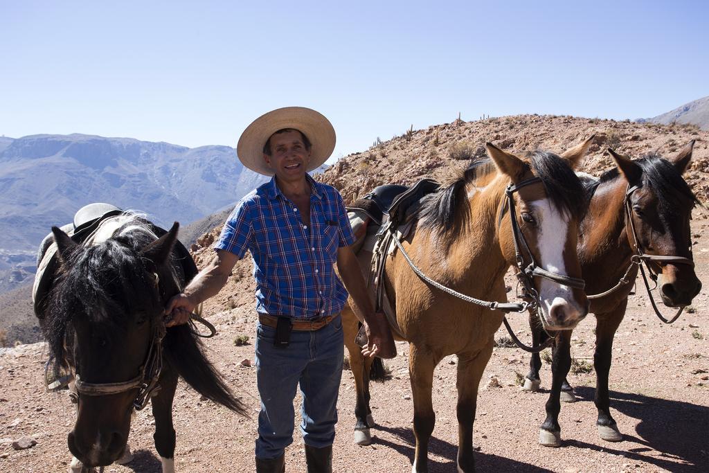 Hacienda Los Andes Βίλα Hurtado Εξωτερικό φωτογραφία