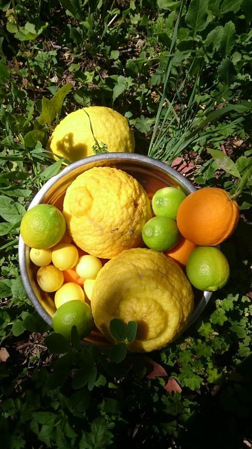 Hacienda Los Andes Βίλα Hurtado Εξωτερικό φωτογραφία